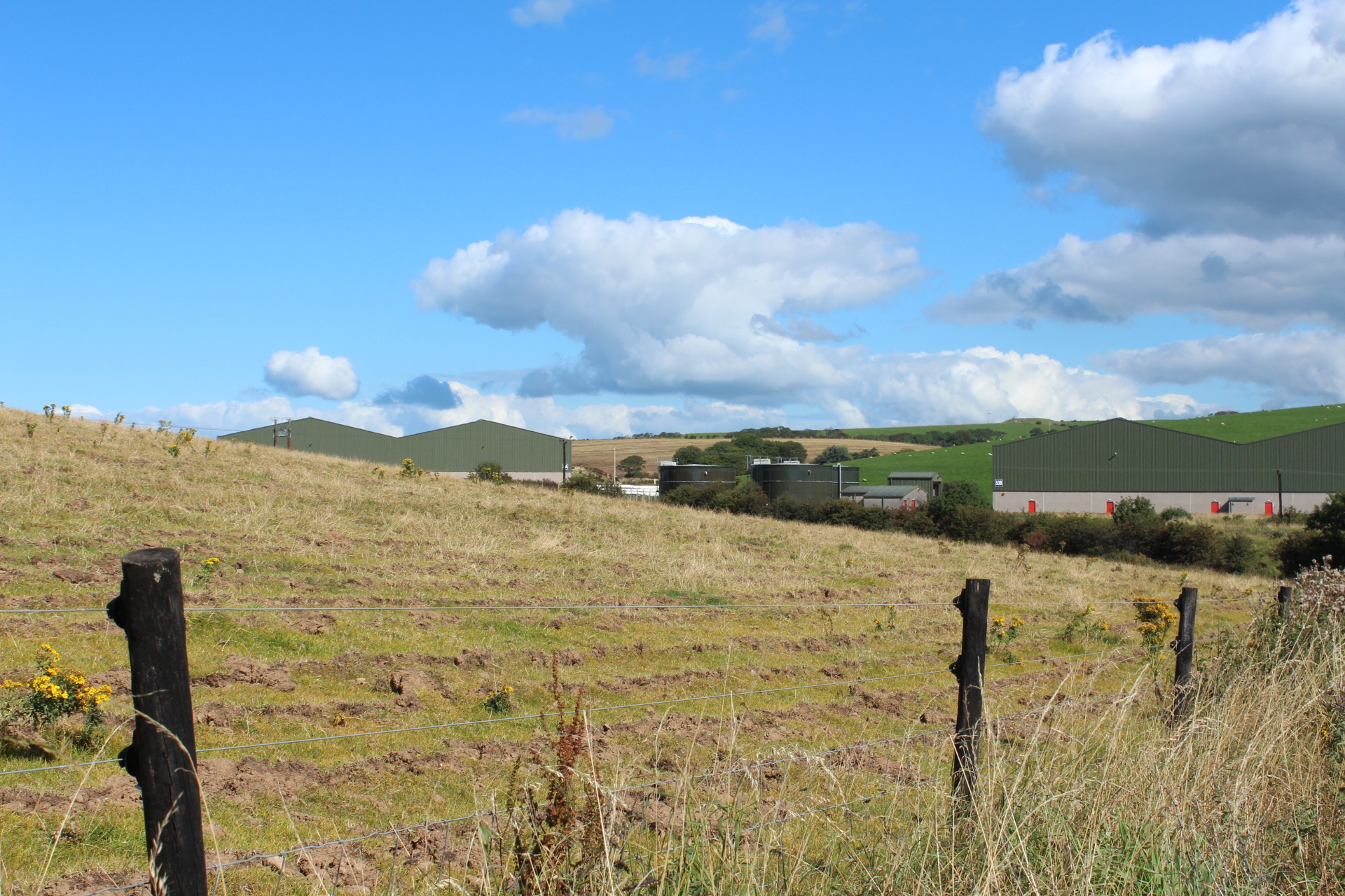 Girvan Distillery