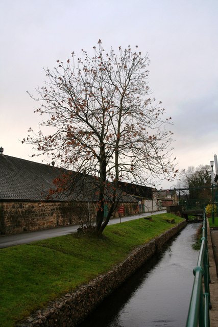 Linkwood Distillery