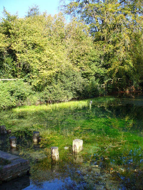 Silent Pool Distillers
