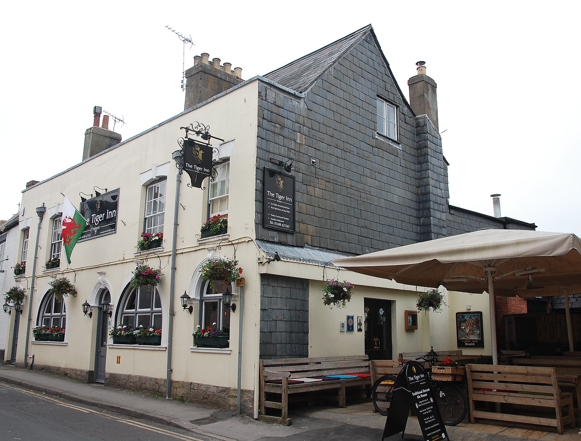 Tiger Inn